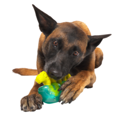 The Dogness Monster Super Chewer Durable Gnaw Dog Toy