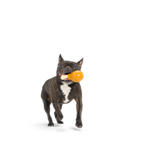 Turkey Day Drumstick Durable Super Chewer Gnaw Dog Toy