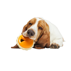 American Pumpkin Pie Super Chewer Durable Enrichment Dog Toy