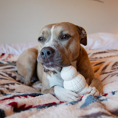 Sam the Snowman™ Super Chewer Durable Gnaw Dog Toy
