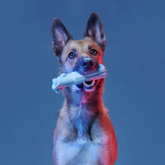 Light Side Star Wars™ Super Chewer Durable Bundle Fetch + Gnaw Dog Toy