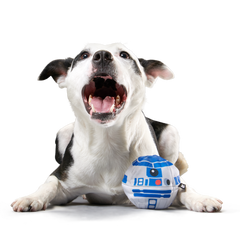 Chew Are My Only Hope Super Chewer Durable 2-in-1 + Fetch Dog Toy