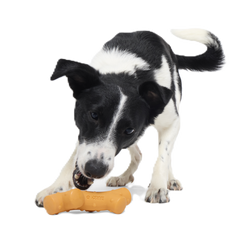 Reef Teefer Super Chewer Durable Gnaw Dog Toy