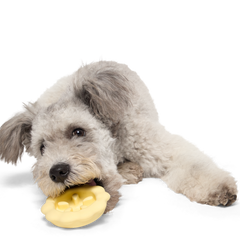 Plump Pumpkin Pie Durable Super Chewer Enrichment Dog Toy