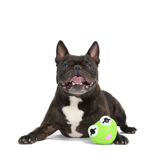 Kermit the Frog as “Bouncing Bob Catch-It" Durable Super Chewer Fetch Dog Toy