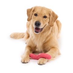 Turf Worm Durable Super Chewer Gnaw Dog Toy
