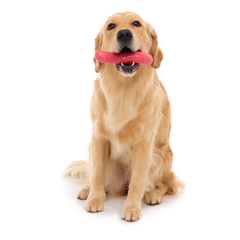 Turf Worm Durable Super Chewer Gnaw Dog Toy