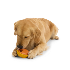 American Pumpkin Pie Super Chewer Durable Enrichment Dog Toy