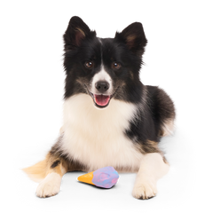 Buffberry Cone Super Chewer Durable Gnaw Dog Toy