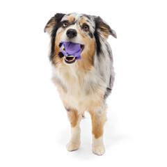 Zeb Orrelios™ Super Chewer Durable 2-in-1 + Fetch Dog Toy