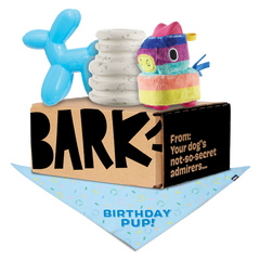Birthday Super Chewer Box (Toy-Only) - One Month Gift Box