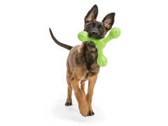 Skamp The Final Fetch