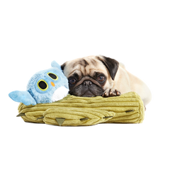 Saguaro Sammy Plush Multi-Part + Tug Dog Toy