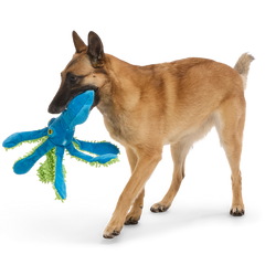 Shifty Sid the Squid Plush Extra-Large + Tug Dog Toy