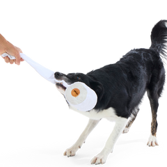 Shred Head Fred Plush Enrichment + Tug Dog Toy