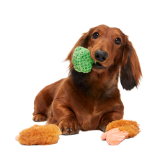 Sizzlin' Sea & Tree Sampletizer Plush Multi-Part + Enrichment Dog Toy