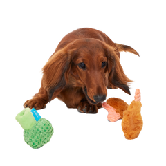 Sizzlin' Sea & Tree Sampletizer Plush Multi-Part + Enrichment Dog Toy