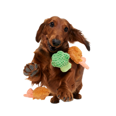 Sizzlin' Sea & Tree Sampletizer Plush Multi-Part + Enrichment Dog Toy
