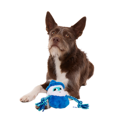 Smellcaster Merlin Plush Tug Dog Toy