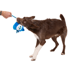 Smellcaster Merlin Plush Tug Dog Toy
