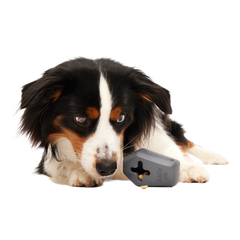 Snack Casket Super Chewer Durable Enrichment Dog Toy