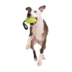 Snout Guard Super Chewer Durable Tug Dog Toy