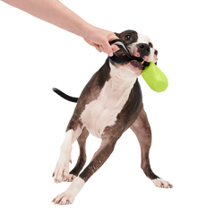 Snout Guard Super Chewer Durable Tug Dog Toy