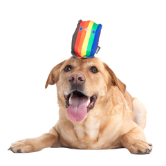 Some Bear Over The Rainbow Super Chewer Durable 2-in-1 Dog Toy