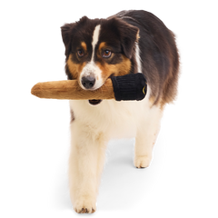 Spellbinding Wand™ Plush Tug Dog Toy