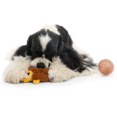 Spike the Ball Hog Plush Multi-Part + Fetch Dog Toy