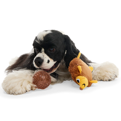 Spike the Ball Hog Plush Multi-Part + Fetch Dog Toy