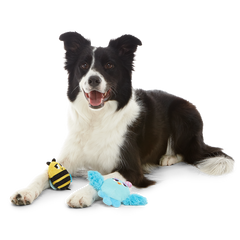 Spring Fling Plush Multi-Part + Fetch Dog Toy