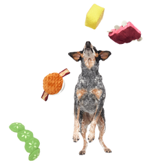 Squeak & Three Plush Multi-Part Dog Toy