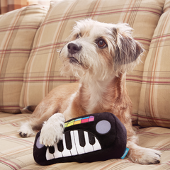 Squeaky Wonder Keyboard Plush Dog Toy