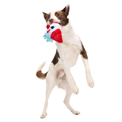 Last Laugh Bundle Plush Multi-Part Dog Toy