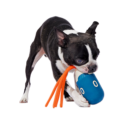 Squidwhip Super Chewer Durable Tug Dog Toy
