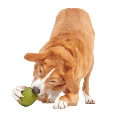 Stuffed Olive Super Chewer Durable Enrichment Dog Toy
