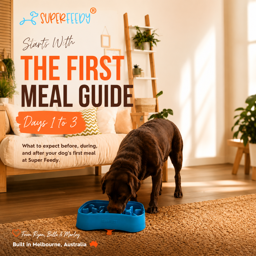 First Meal Guide | Digital Download | Super Feedy