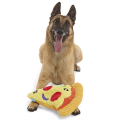 Extra-Large Toy Club, Monthly Plush XL Dog Toys