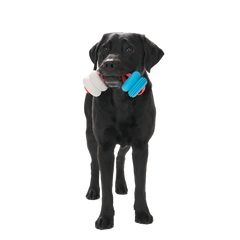 Swimming Pull Super Chewer Durable Tug Dog Toy