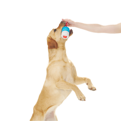 Swimming Pull Super Chewer Durable Tug Dog Toy
