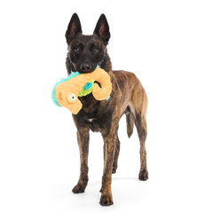 Swirlin Shirley the Seahorse Plush Tug Dog Toy