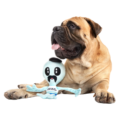 The Gaylien Plush 2-in-1 Tug Dog Toy