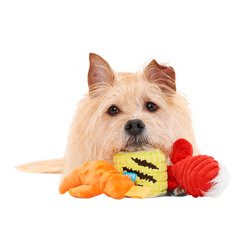The Maine Event Plush Multi-Part Dog Toy