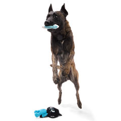The Purrfect Crime Plush 2-in-1 + Tug Dog Toy
