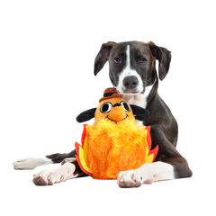 This is Fine Plush Multi-Part + Enrichment Dog Toy