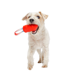 Throwman Candle Super Chewer Durable Tug Dog Toy