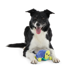 Tiago Tortuga Plush Tug Dog Toy