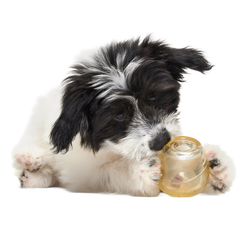 Tipsy Toast Glass Super Chewer Durable Enrichment Dog Toy