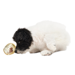 Tipsy Toast Glass Super Chewer Durable Enrichment Dog Toy